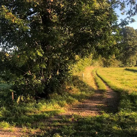 Het Zwaluwnest De Vecht