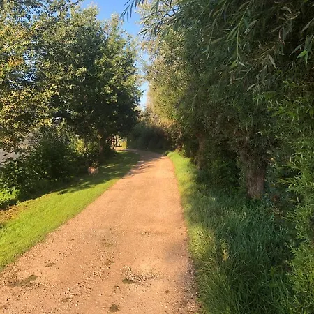 Het Zwaluwnest * De Vecht