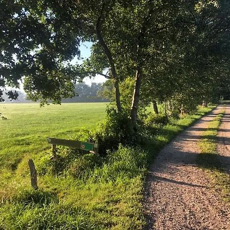 Het Zwaluwnest Apartamento
