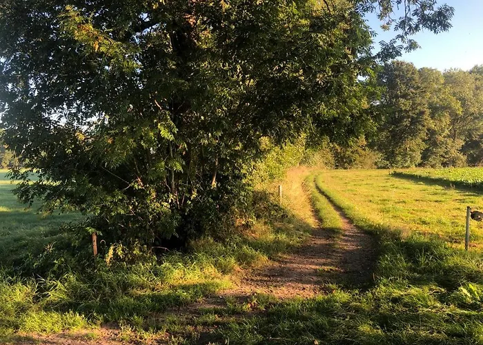 Het Zwaluwnest De Vecht