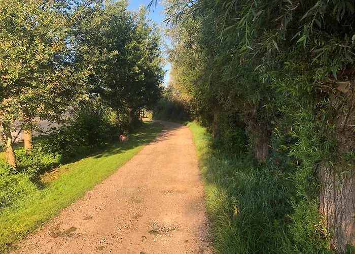 Het Zwaluwnest * De Vecht