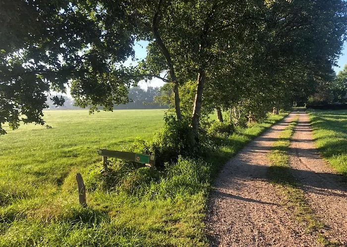 Het Zwaluwnest Appartement